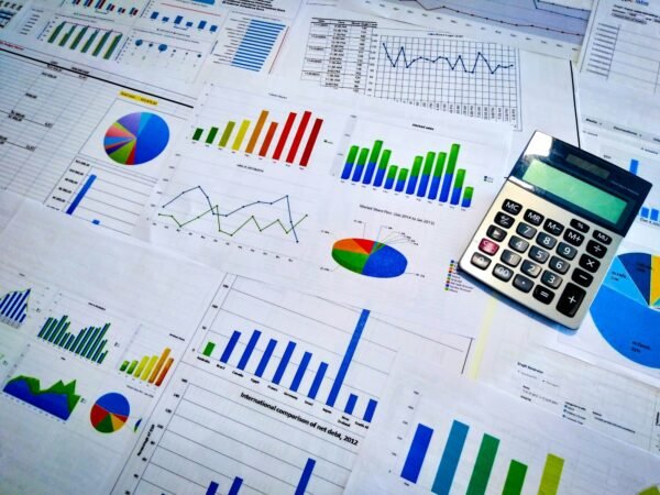 Business financial analysis report